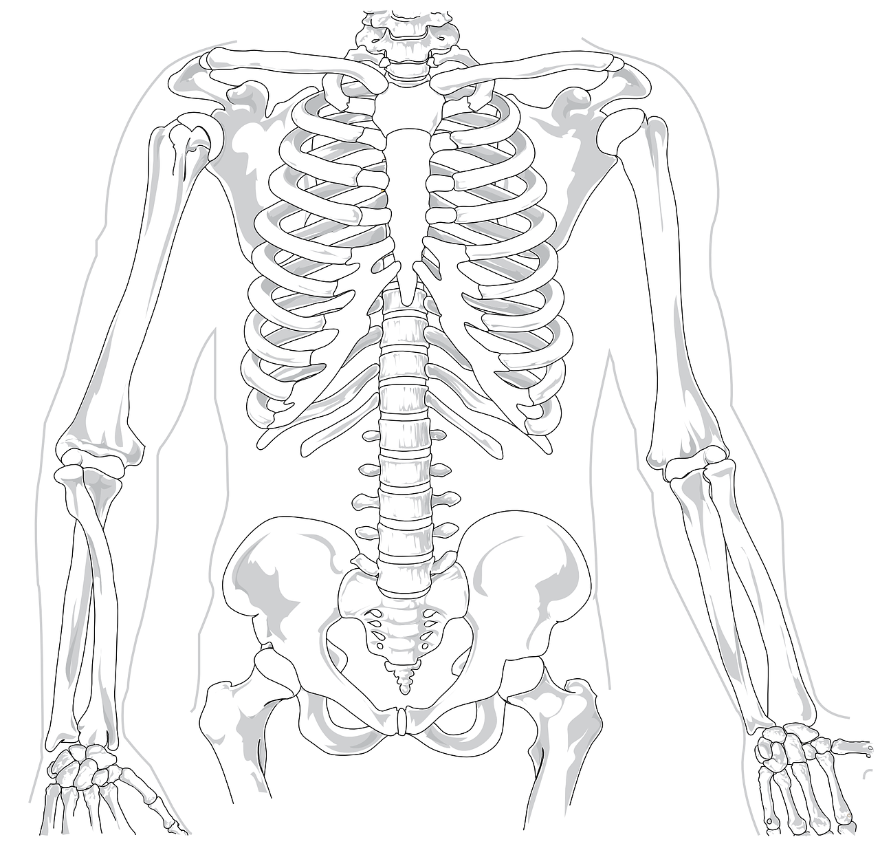 Grafika przedstawiająca szkielet człowieka w dyskiem na białym tle